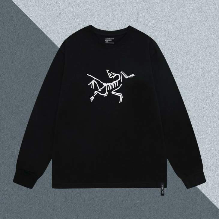 Picture of Arcteryx T Shirt Long _SKUArcteryxS-XL55tx91149724